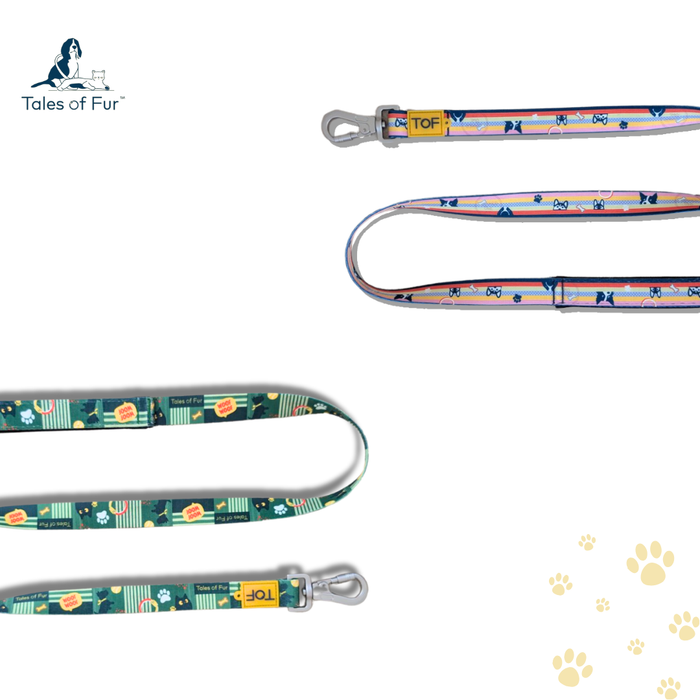 Tales of Fur Prism Premium carabiner leash with padded handle Large