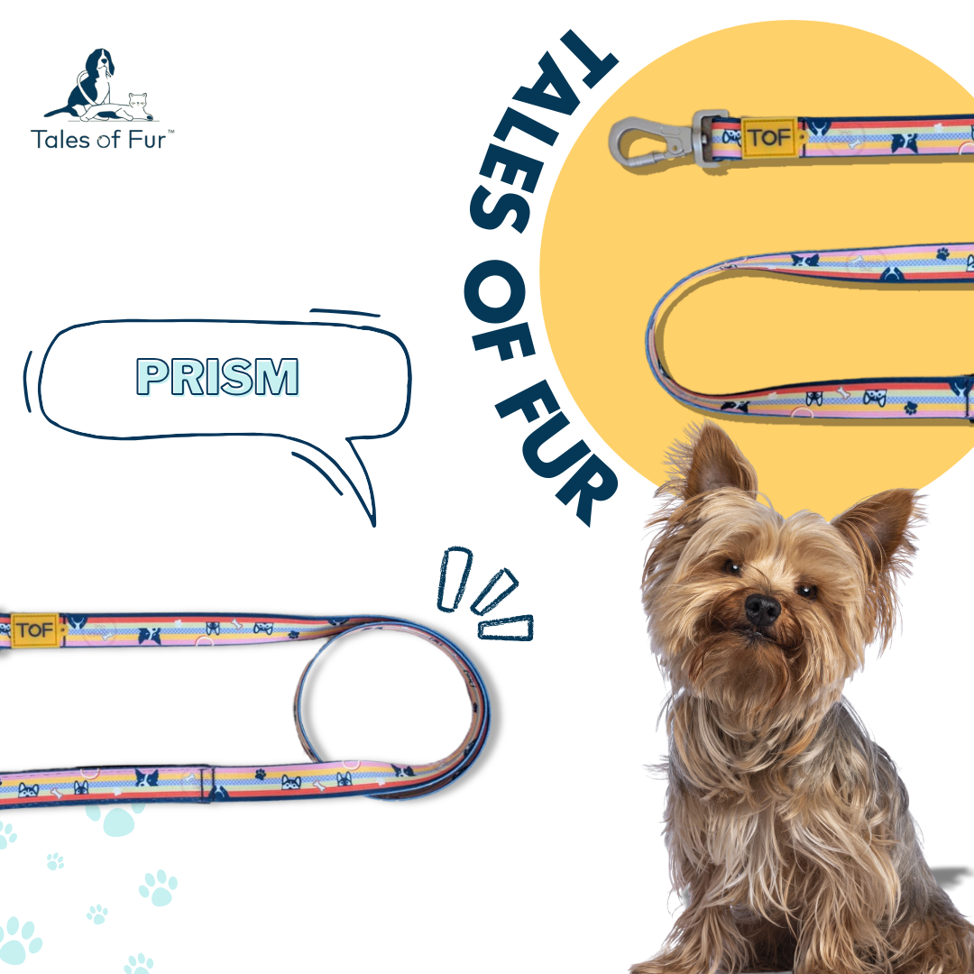 Tales of Fur Prism Premium carabiner leash with padded handle Large