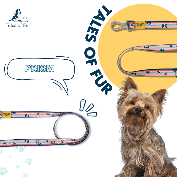 Tales of Fur Prism Premium carabiner leash with padded handle Large