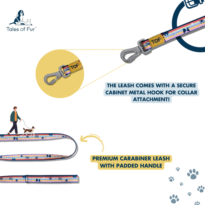 Tales of Fur Prism Premium carabiner leash with padded handle Large